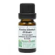 Stadelmann édeskömény-kömény olaj - hasfájós, puffadós babáknak- 10 ml és 50ml - Kiszerelés 10 ml