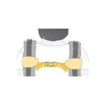 Manduca mellkaspánt greymelange