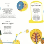 Ragyog a mindenség