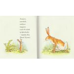 Sam McBratney - Találd ki mennyire szeretlek