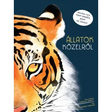 Állatok közelről