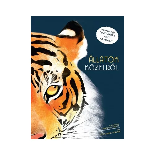 Állatok közelről