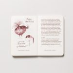 Egy Essexi professzor elveszett naplója