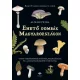 Ehető gombák Magyarországon - Vadon termő gombák gyűjtése, feldolgozása és 200 hazai faj étkezési út
