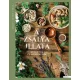 A zsálya illata - Receptek és meditációk
