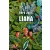 Liana - - A dzsungel fogva tart - Berg Judit