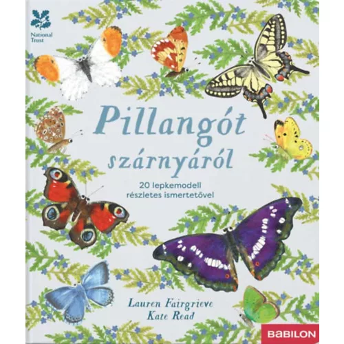 Pillangót szárnyáról - 20 lepkemodell részletes ismertetővel