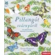 Pillangót szárnyáról - 20 lepkemodell részletes ismertetővel