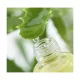 Aloe vera gél - szűrt, folyékony 100ml