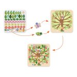 Djeco: Design by Kollázs műhely - Évszakokon át - Through the seasons