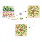 Djeco: Design by Kollázs műhely - Évszakokon át - Through the seasons