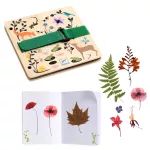Djeco Kis botanikus - Budding botanist