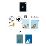 Djeco - Művészeti műhely - Papírok a Cianotípia technikához - Cyanotype Paper