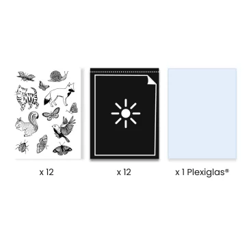   Djeco - Művészeti műhely - Napnyomat kezdő készlet - Cyanotype Starter Kit