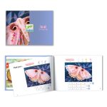 Djeco - Fűzős képkészítő - Ragyogás az éjszakában - Light up the night