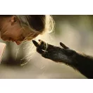 Az ember árnyékában - Jane Goodall