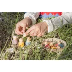 Grapat baby Nins - babák 6db kókuszhéjban