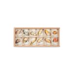 Grapat Wild - vadon élő állatok fajáték szett tárolóval 12db