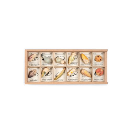 Grapat Wild - vadon élő állatok fajáték szett tárolóval 12db