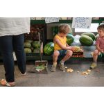 Grapat Mandala Pumpkins - tökök