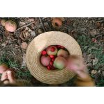 Grapat mandala félgömbök fajáték 36 db