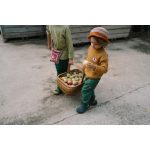 Grapat mandala félgömbök fajáték 36 db