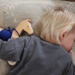 Grimm's húzható ló, Holly