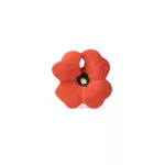 Oli&Carol - Pop, a virág rágóka