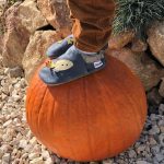 Liliputi Paws puhatalpú cipő - Apolló