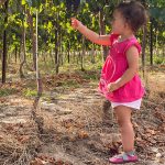 Liliputi puhatalpú szandál - Magnolia - Méret S