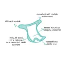Bambinomio Mioduo Favourites pelenkaszett