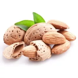 Mandulaolaj bio