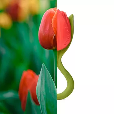 Oli&Carol természetes rágóka - Theo, a tulipán