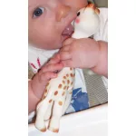 Sophie zsiráf az eredeti