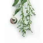 Bola pocakcsengettyű, gyűrűs