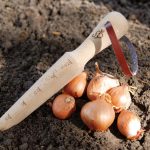 GardenTools - Ültetőfa